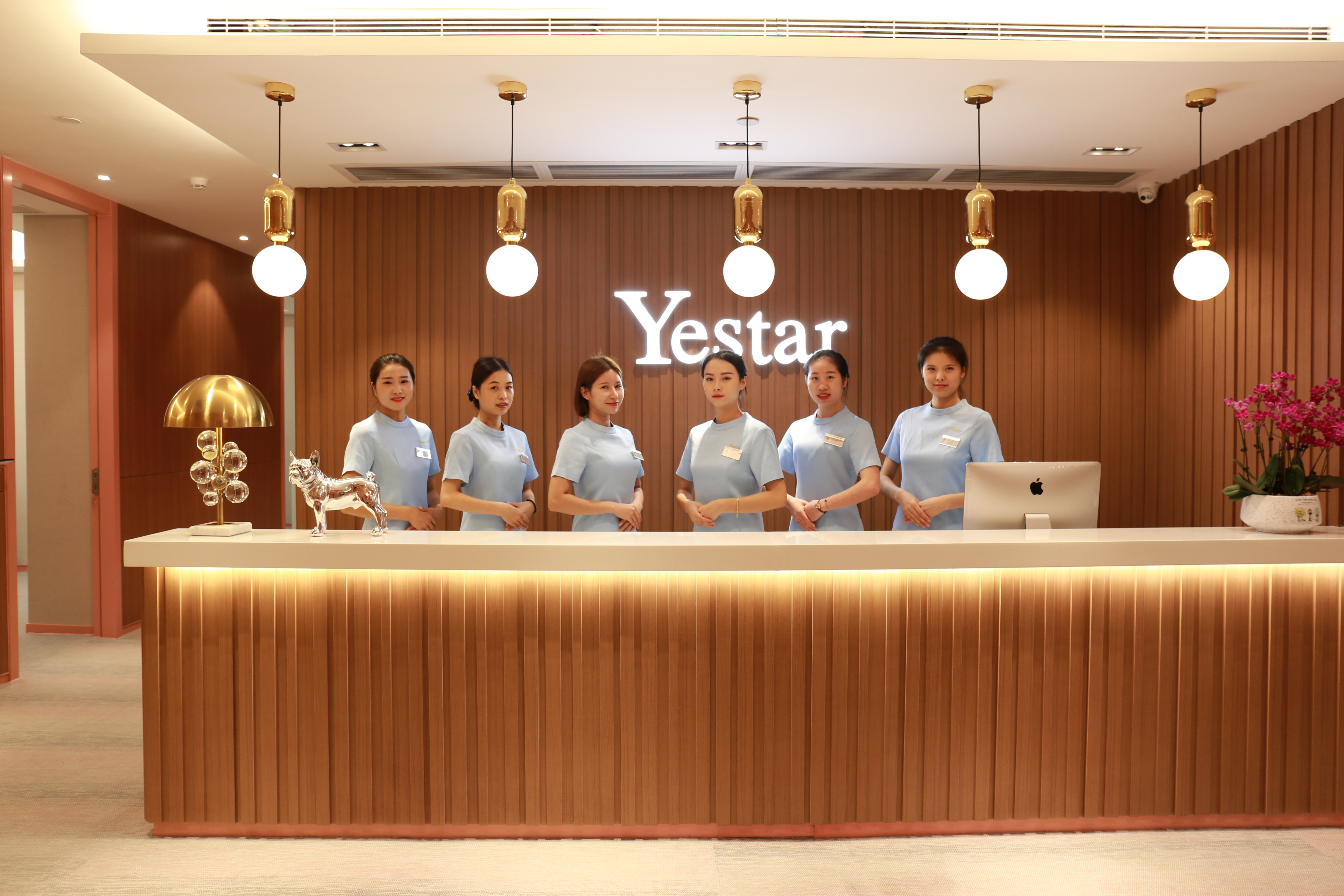 Yestar深圳艺星